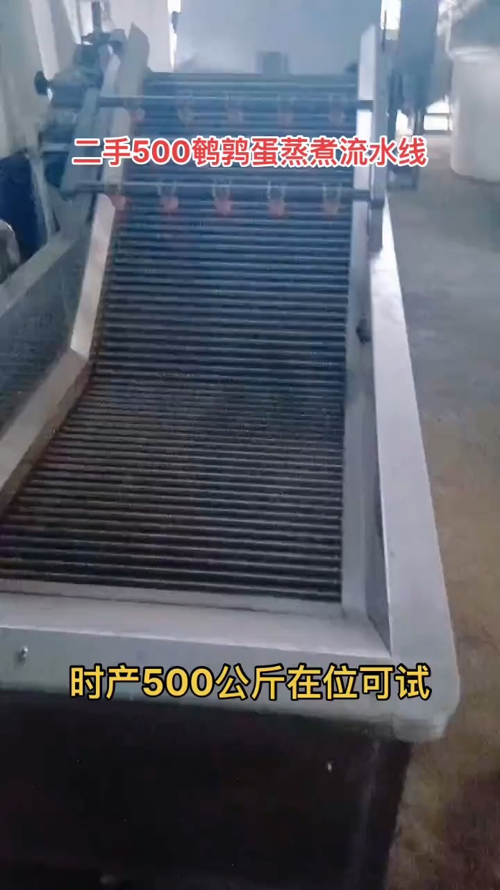#二手500鹌鹑蛋蒸煮流水线 时产500公斤在位可试#工作实拍
