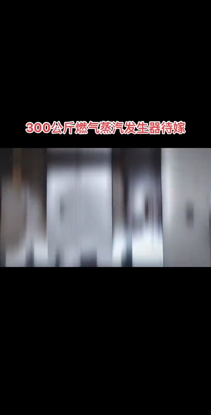 #300公斤燃气蒸汽发生器 待嫁#蒸汽发生器蒸汽锅炉
