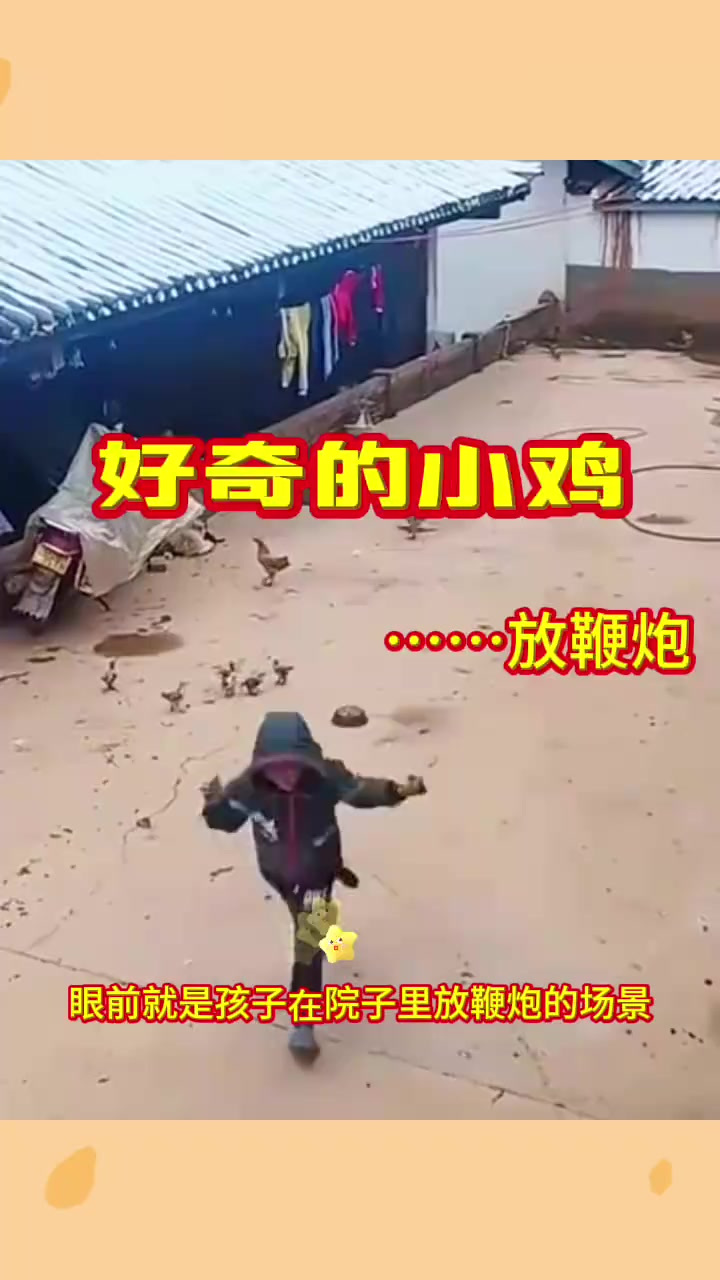 孩子放鞭炮引发小鸡爆炸,安全教育不可忽视!