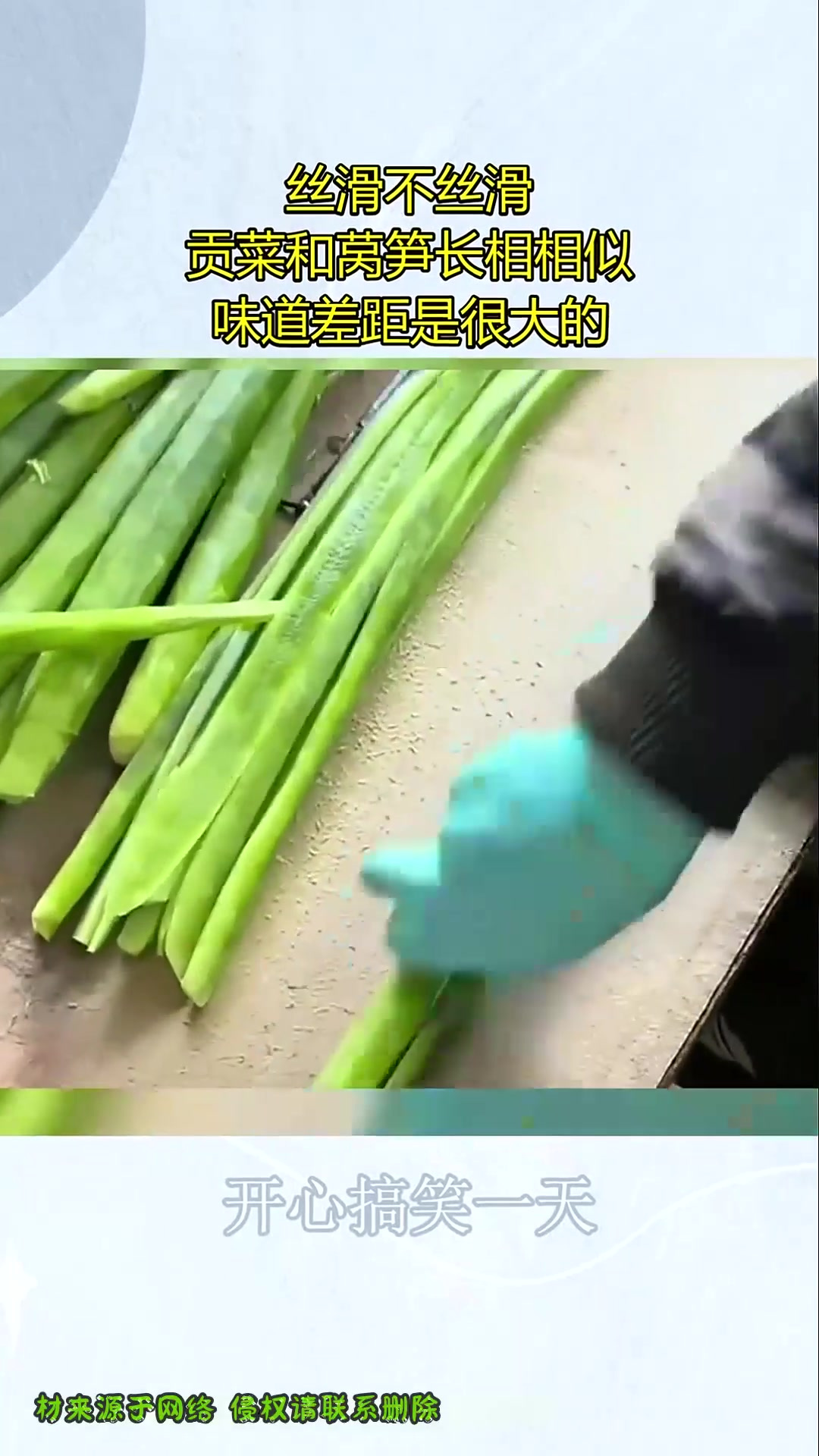 丝滑不丝滑,贡菜和莴笋长相相似,味道差距是很大的!