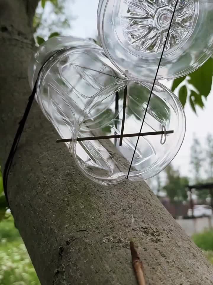 如何用一个废弃的矿泉水瓶快速制作一个抓老鼠神器？