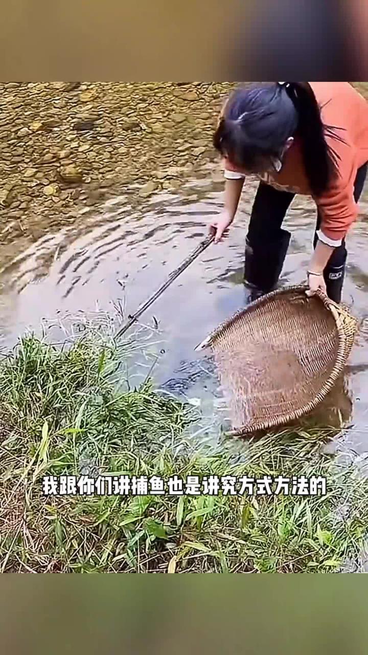 用簸箕抓鱼,涨见识了