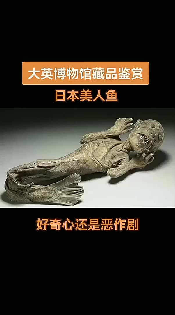 日本美人鱼大英博物馆展品:日本恶作剧还是欧洲的好奇心