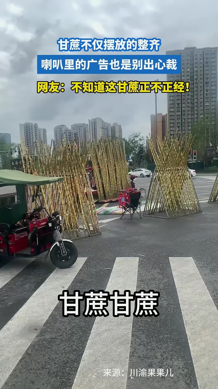 甘蔗不仅摆放的整齐,喇叭里的广告也是别出心裁!