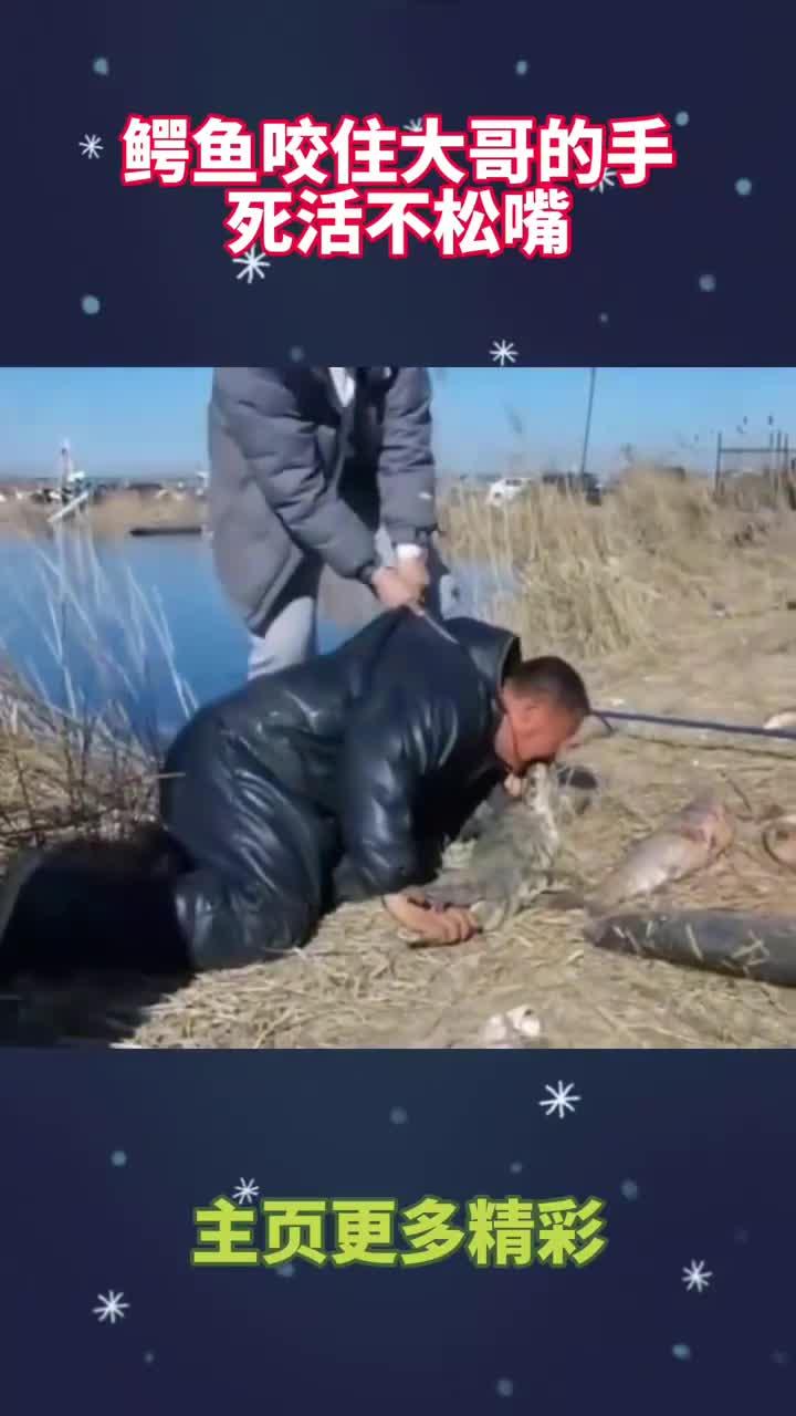 鳄鱼咬住大哥的手，死活不松嘴 (1)
