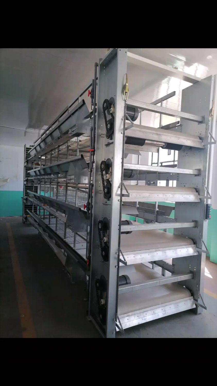 自动化蛋鸡笼养设备,热镀锌鸡笼,皮带清粪机,航车式喂料机,水线料线料塔设备#源头