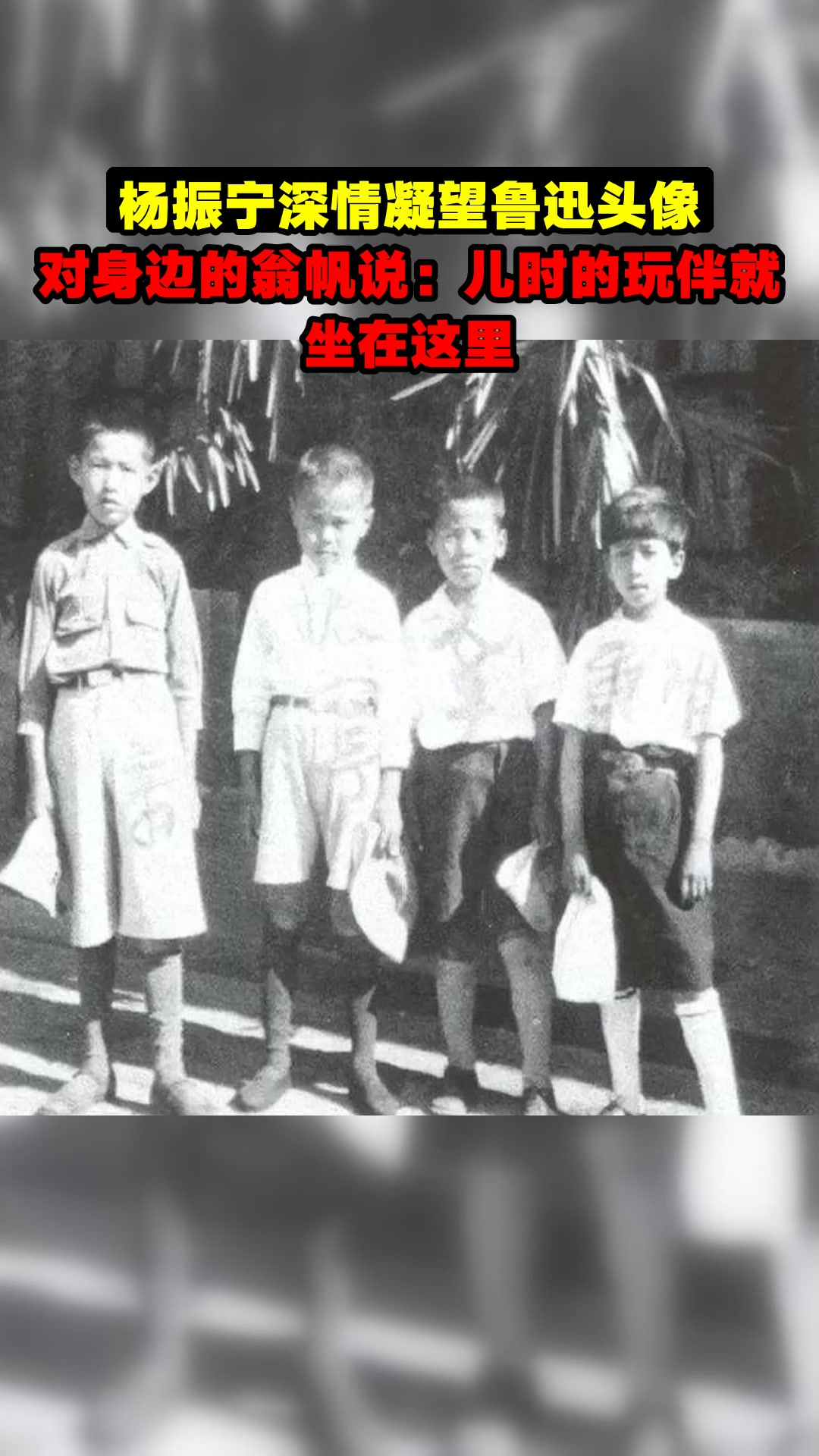 杨振宁深情凝望鲁迅头像,对身边的翁帆说:儿时的玩伴就坐在这里