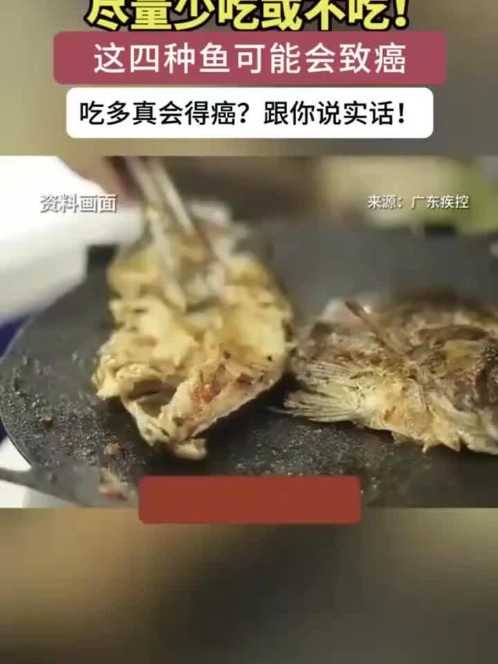 科学养生认知：尽量少吃或不吃！这4种鱼有致癌风险
