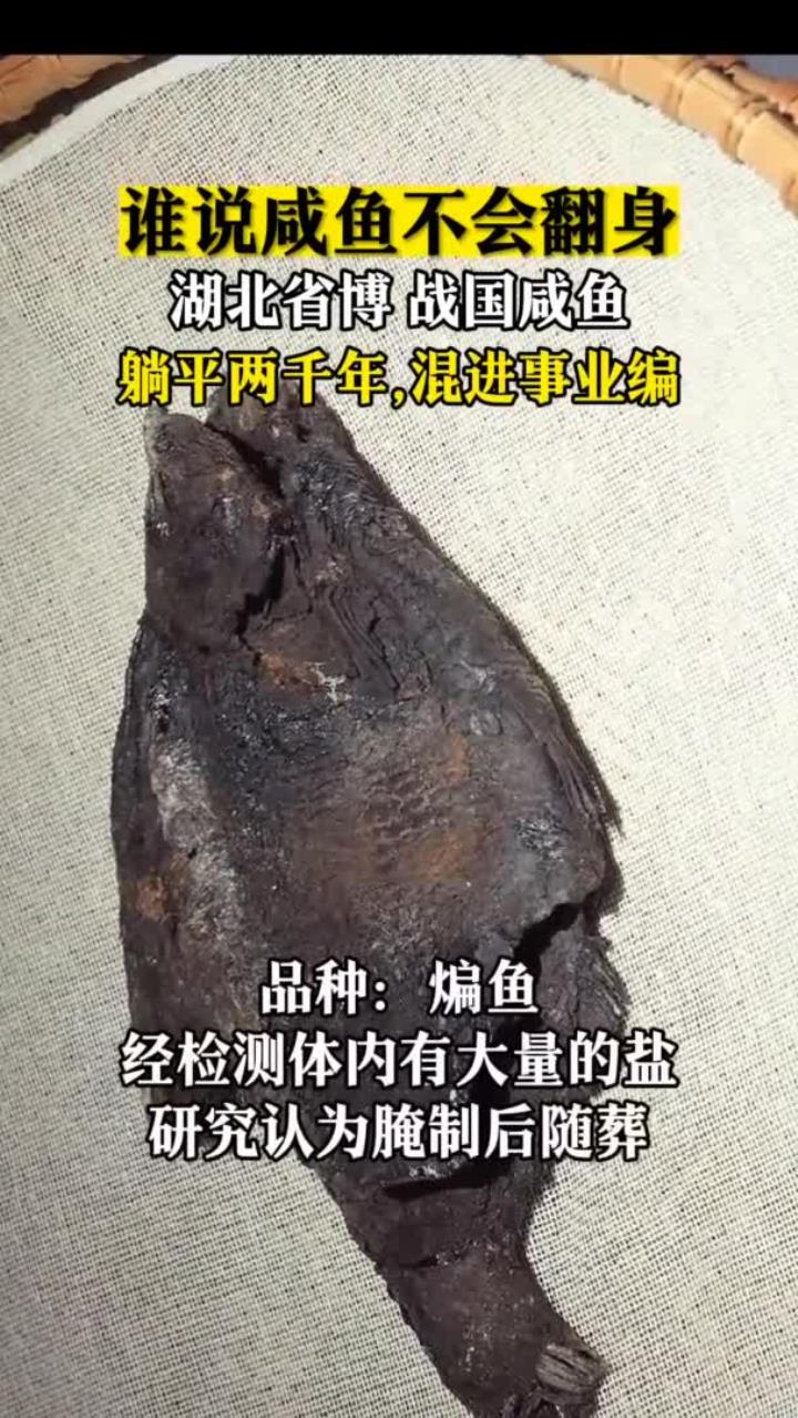 两千年前的咸鱼,翻身了!