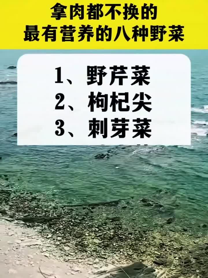 哪有都不换的最有营养的八种野菜