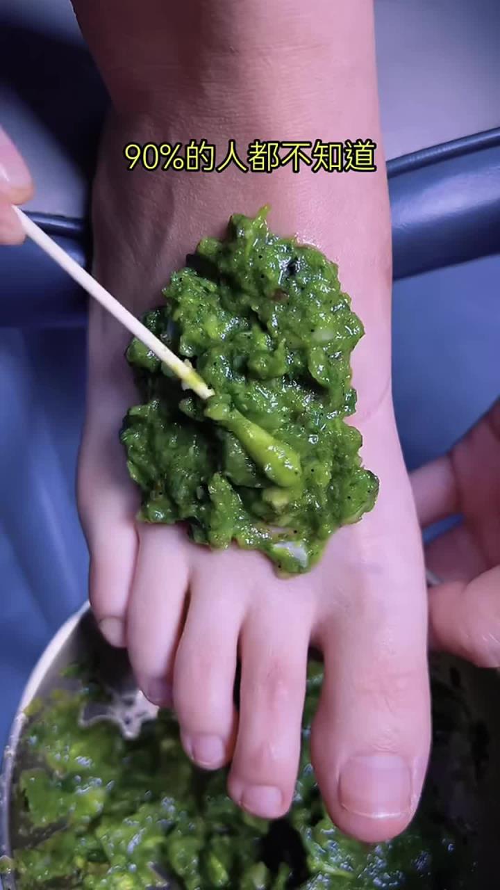 植物科普山野菜小妙招