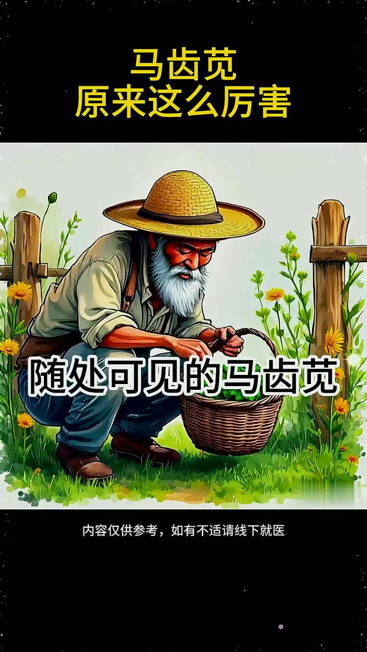 养生 马齿苋的作用原来这么大 养生知识 马齿苋的功效 健康饮食 养生