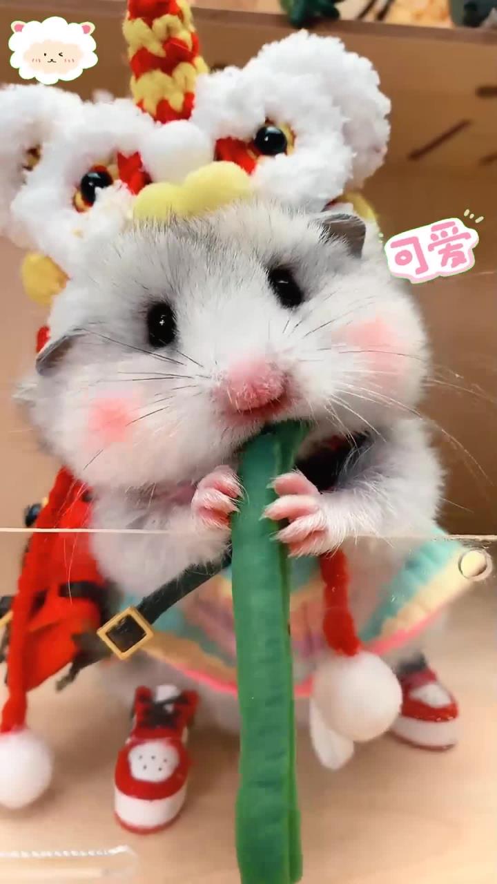 沉浸式吃水煮豇豆