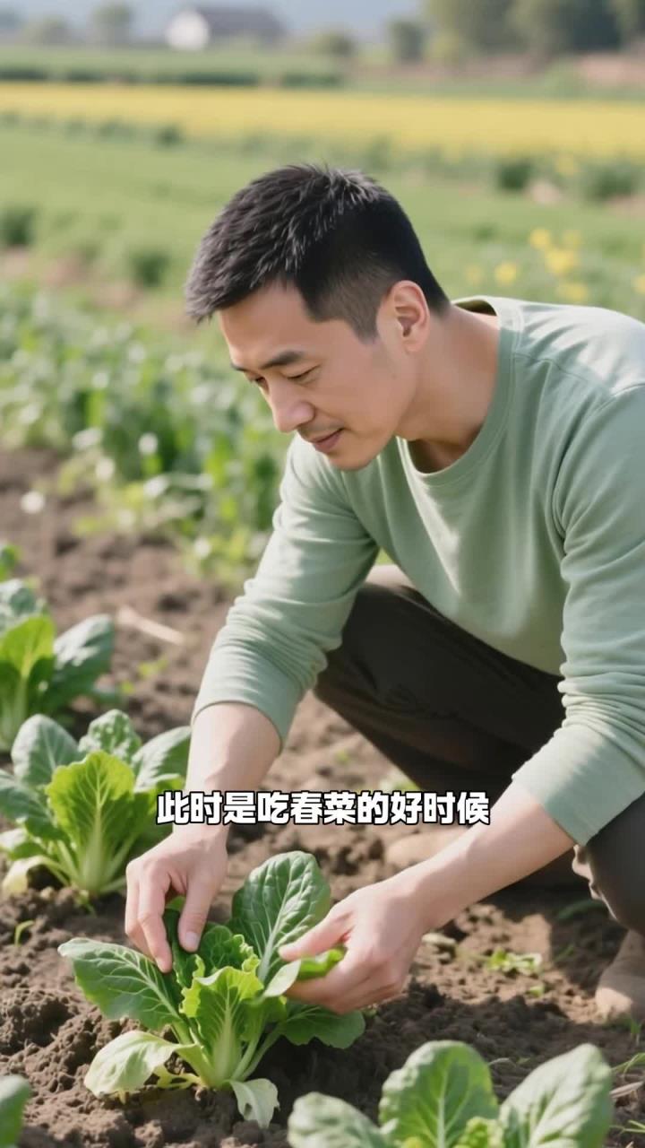 春分多吃春菜,补充营养,顺应自然节律～