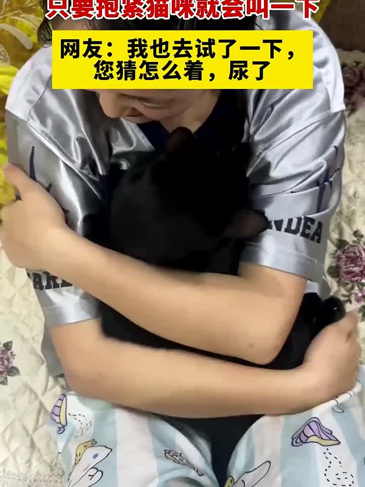 女生找到了猫咪的开关,只要抱紧猫咪就会叫一下