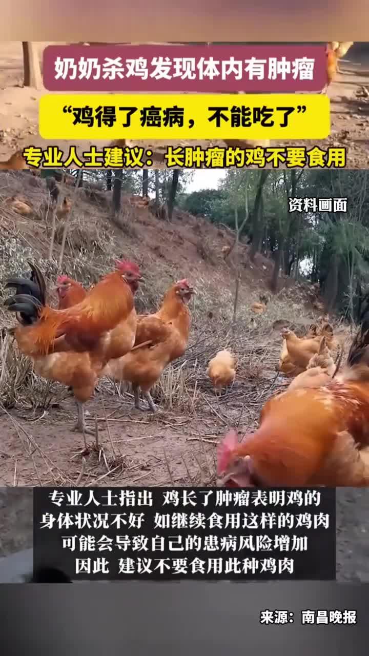 奶奶杀鸡发现体内有肿瘤,专业人士建议:长肿瘤的鸡不要食用