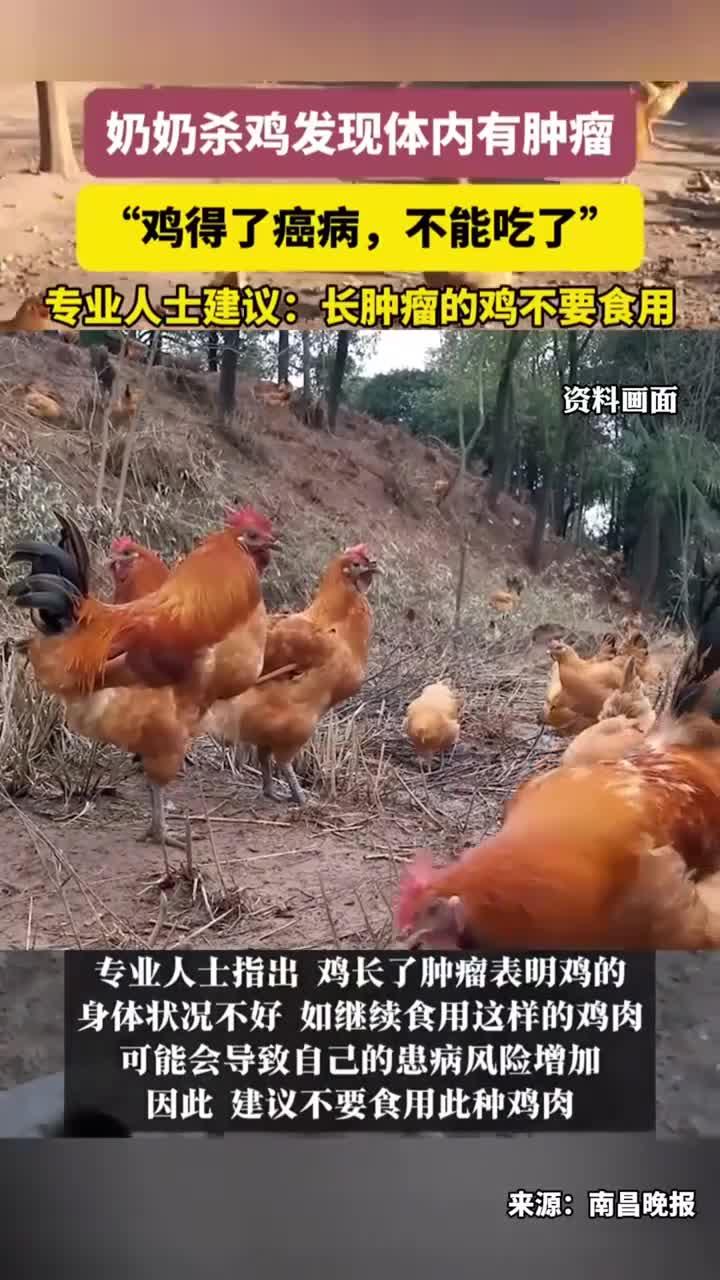 奶奶杀鸡发现体内有肿瘤,专业人士建议:长肿瘤的鸡不要食用