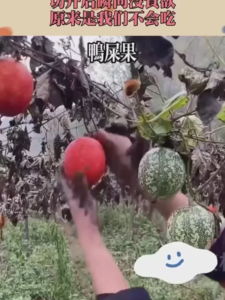 世界上最会伪装的水果,切开后瞬间没食欲,原来是我们不会吃