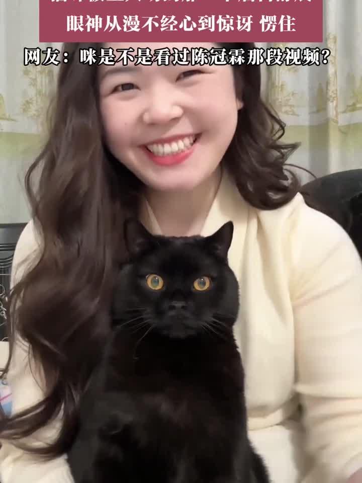 猫咪被主人亲吻后，眼神瞬间变戏精，网友直呼：这是看过陈冠霖的