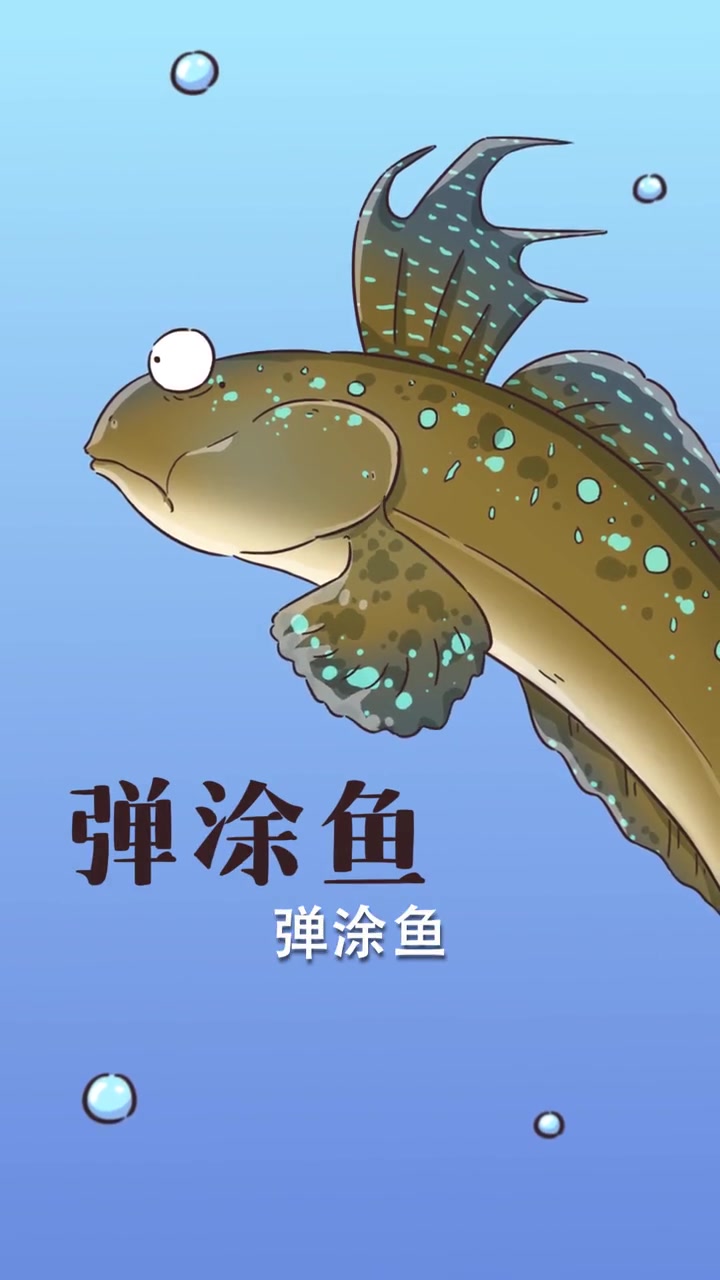 吃过跳跳糖的你吃过跳跳鱼吗？能转来老婆的那个！