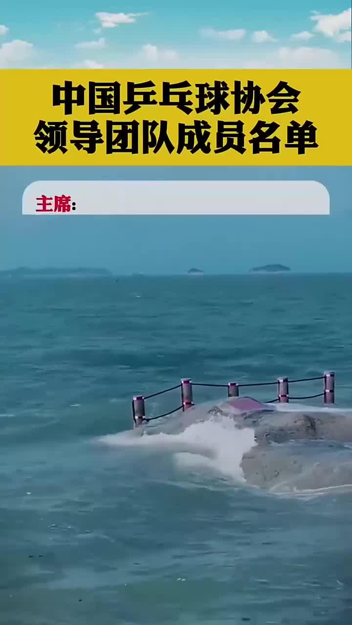 中国乒乓球协会领导团队成员名单