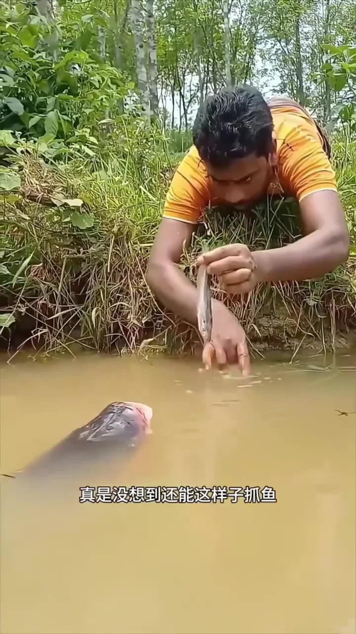 用小鱼抓大鱼