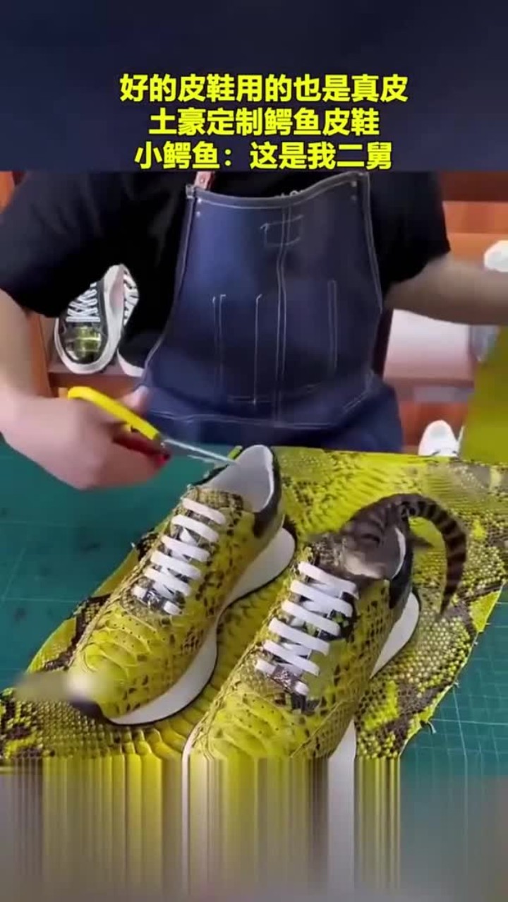 好的皮鞋用的也是真皮,土豪定制鳄鱼皮鞋,小鳄鱼:这是我二舅