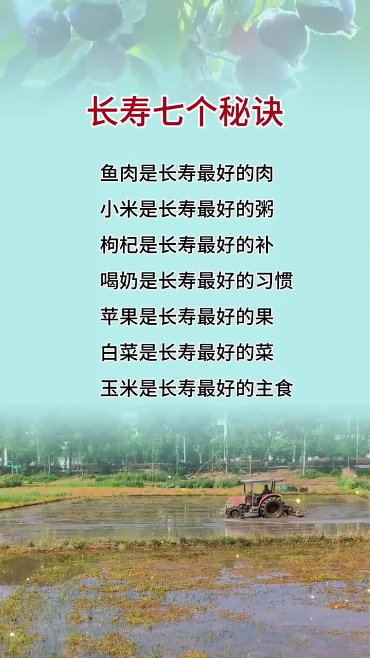 长寿七个秘诀,小米是长寿最好的粥,白菜是长寿最好的菜