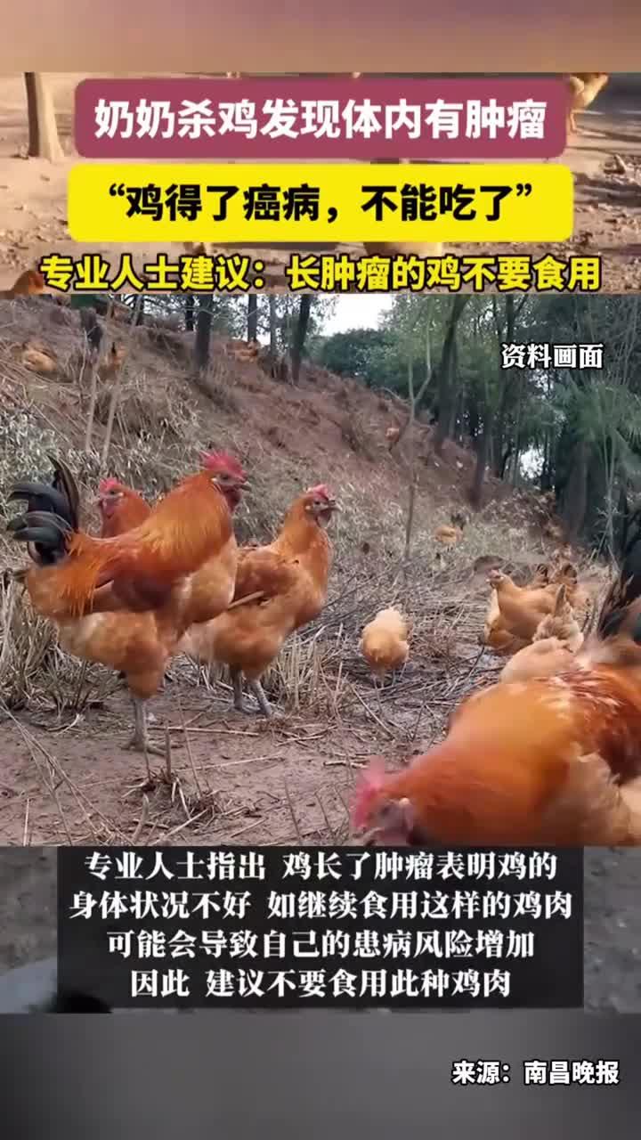 奶奶杀鸡发现体内有肿瘤,专业人士建议:长肿瘤的鸡不要食用