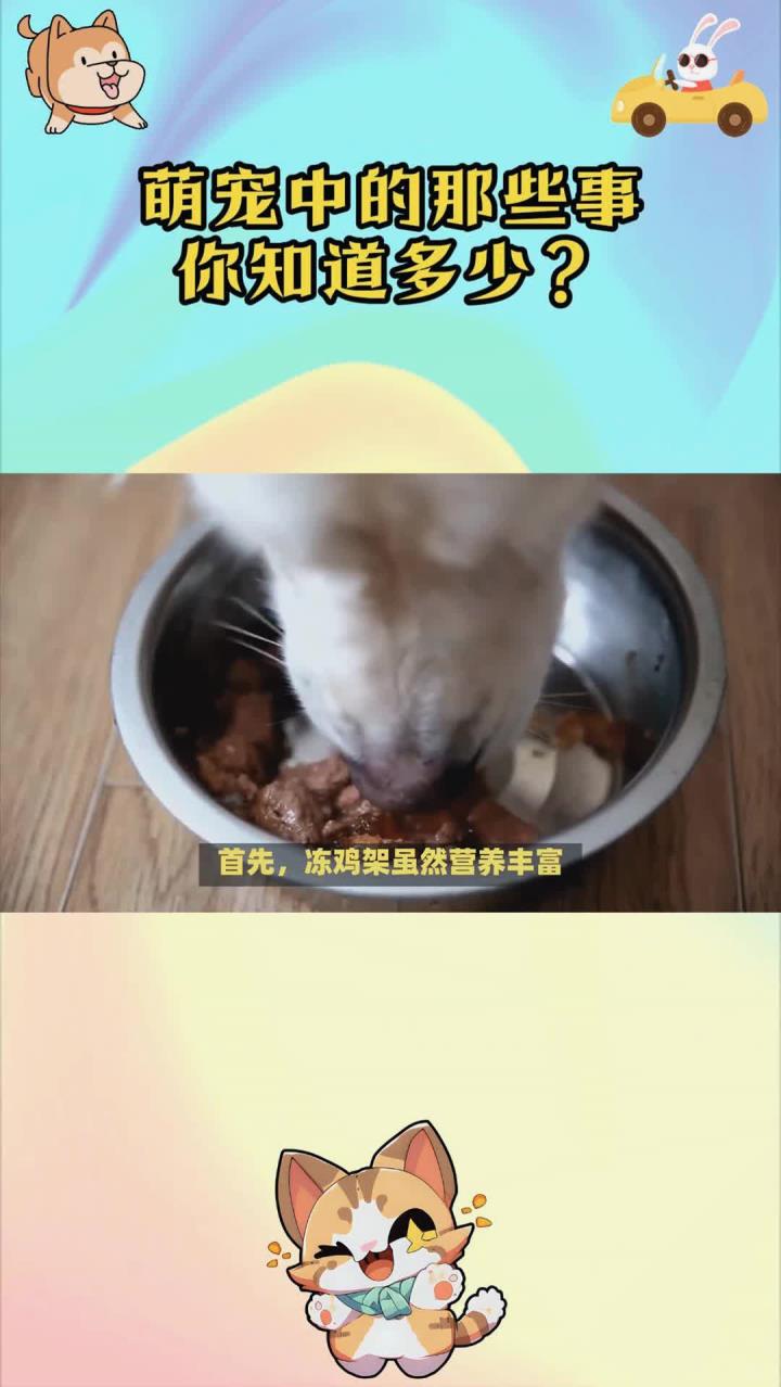 如何正确喂狗吃冻鸡架