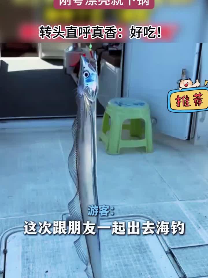 上海游客在舟山钓上活带鱼 前脚还夸“好看”,后脚就下锅
