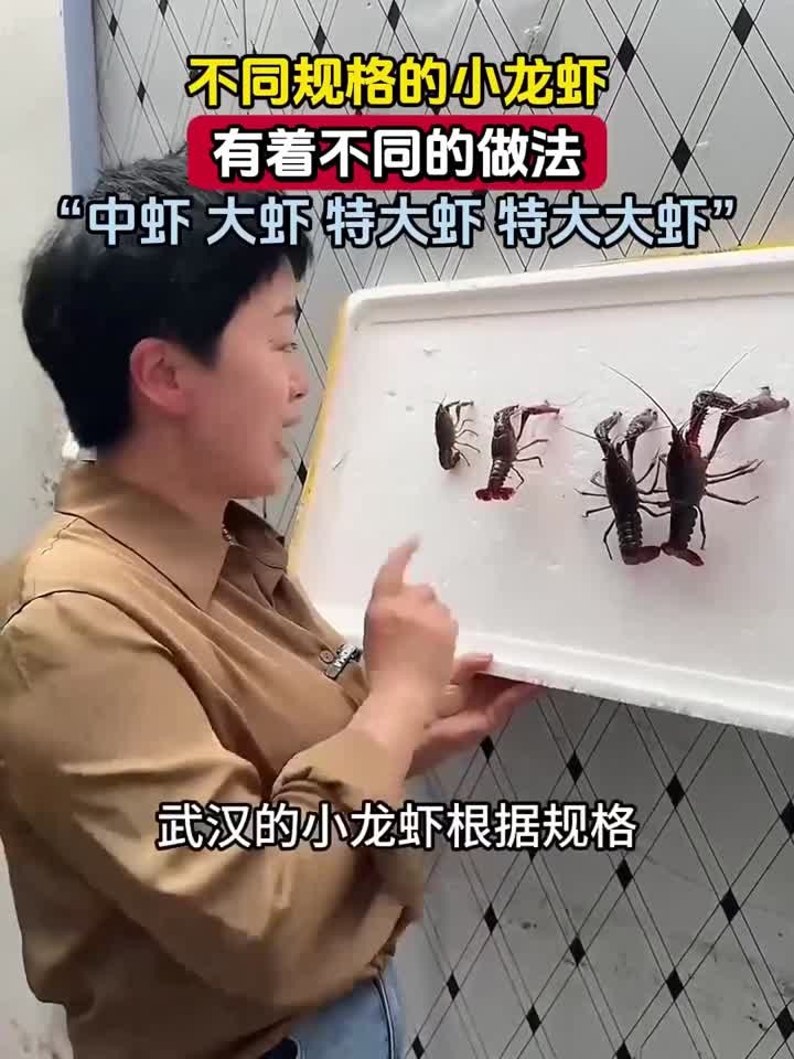 不同规格的小龙虾，有着不同的做法，中虾 大虾 特大虾 特大大