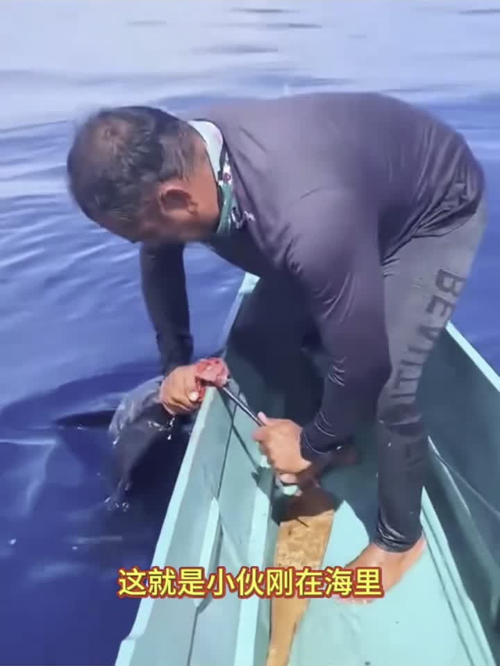 三农生活,长嘴巴的大鱼,这是什么品种