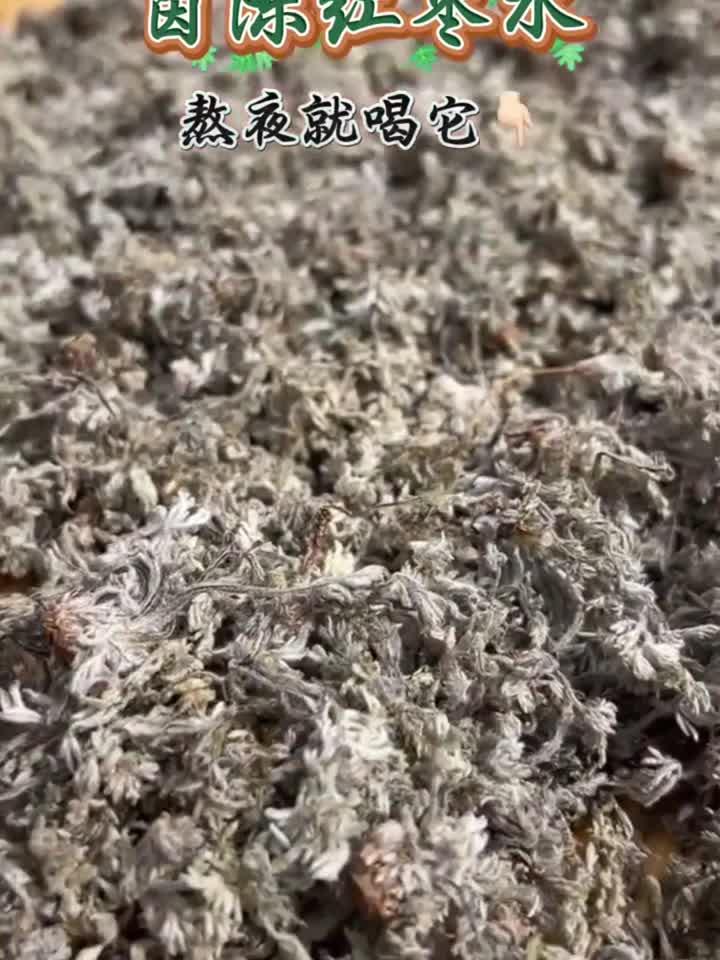 固本日记:茵陈搭配两宝一起煮水喝,调身体,少生病,享生活,安