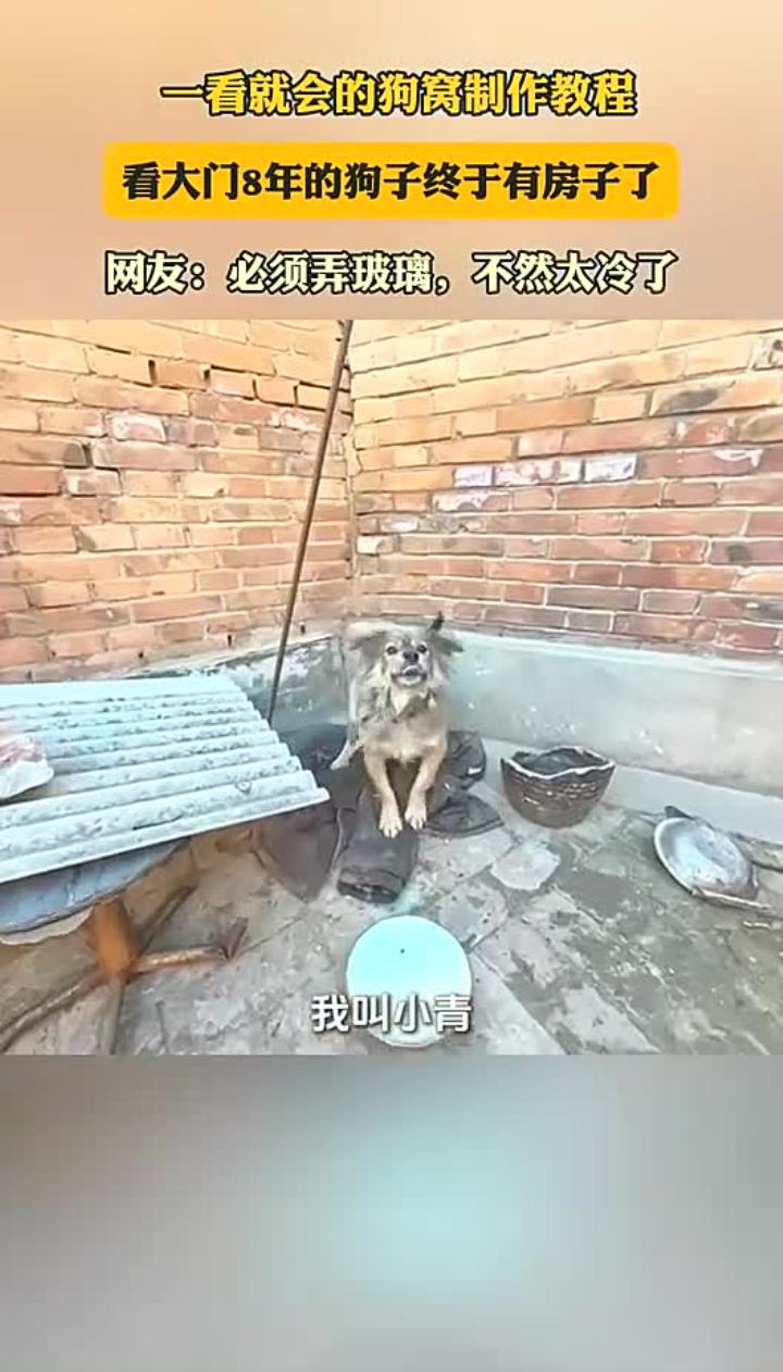 一看就会的狗窝制作教程,看大门8年的狗子终于有房子了