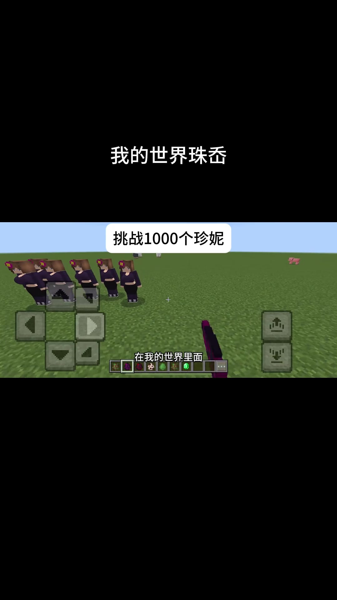 我的世界珍妮探秘 (4)
