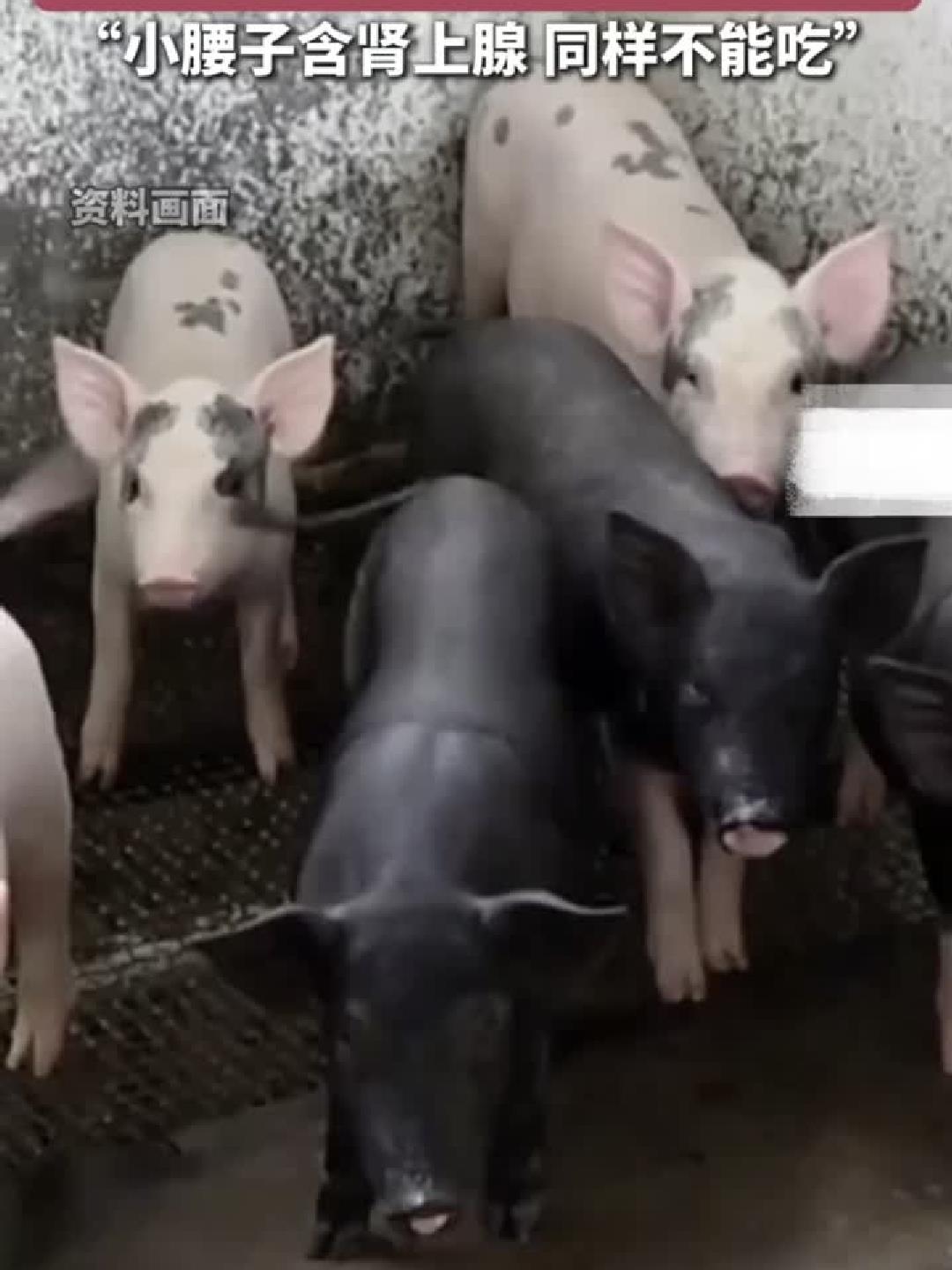 猪肉这些部位最该忌口!营养师揭秘比淋巴更隐蔽的健康隐患