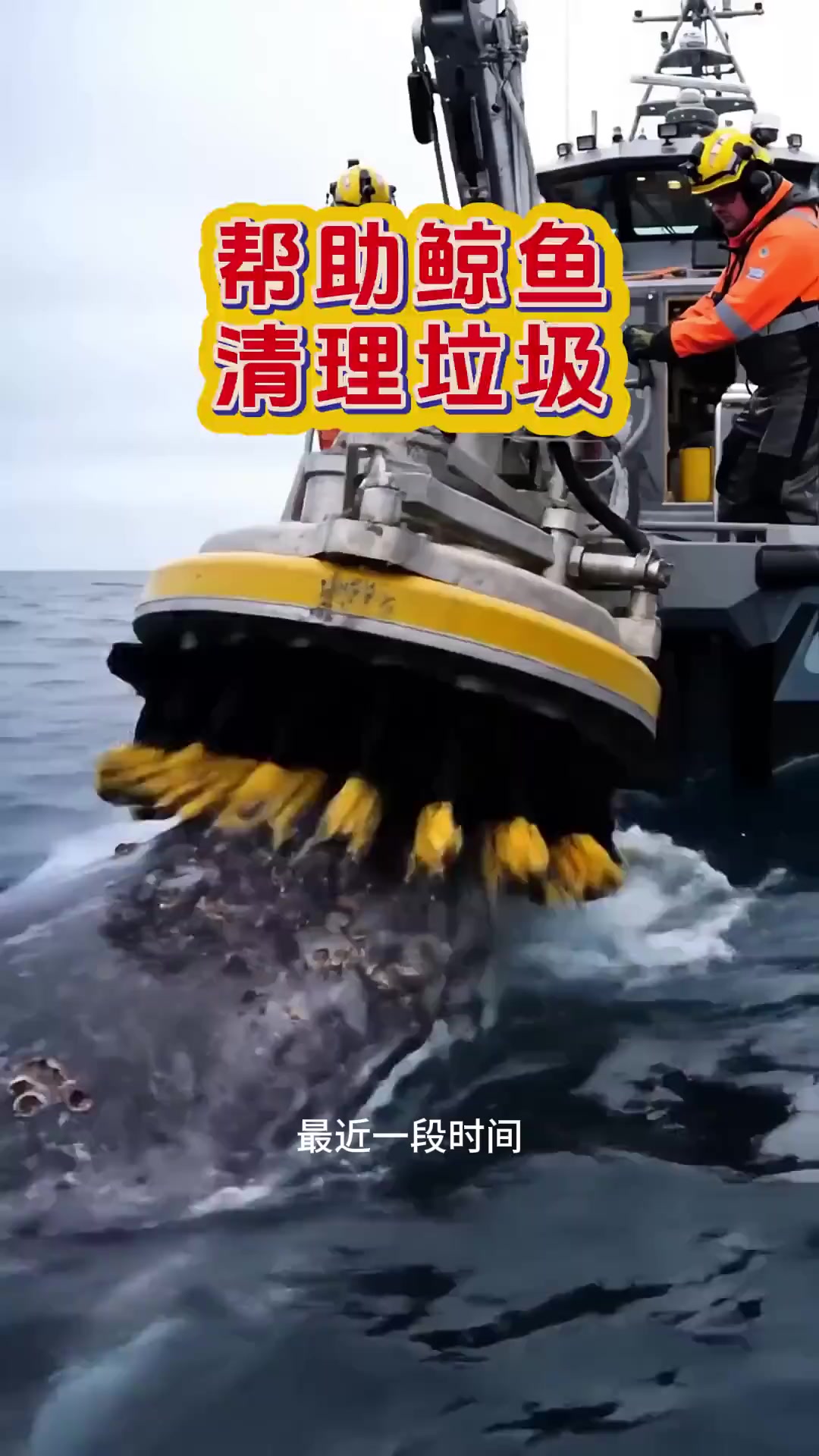 帮助鲸鱼清理垃圾