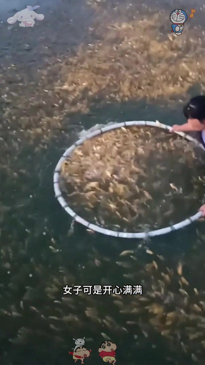  年年有鱼,爆网了