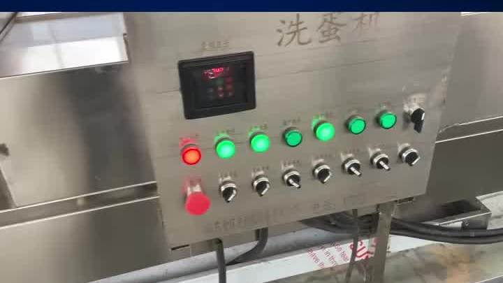 咸鸭蛋清洗机 大型洗蛋机 双排洗蛋机 洗蛋机 大型洗