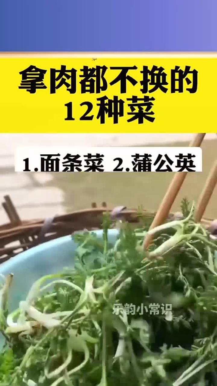 拿肉都不换的十二种菜