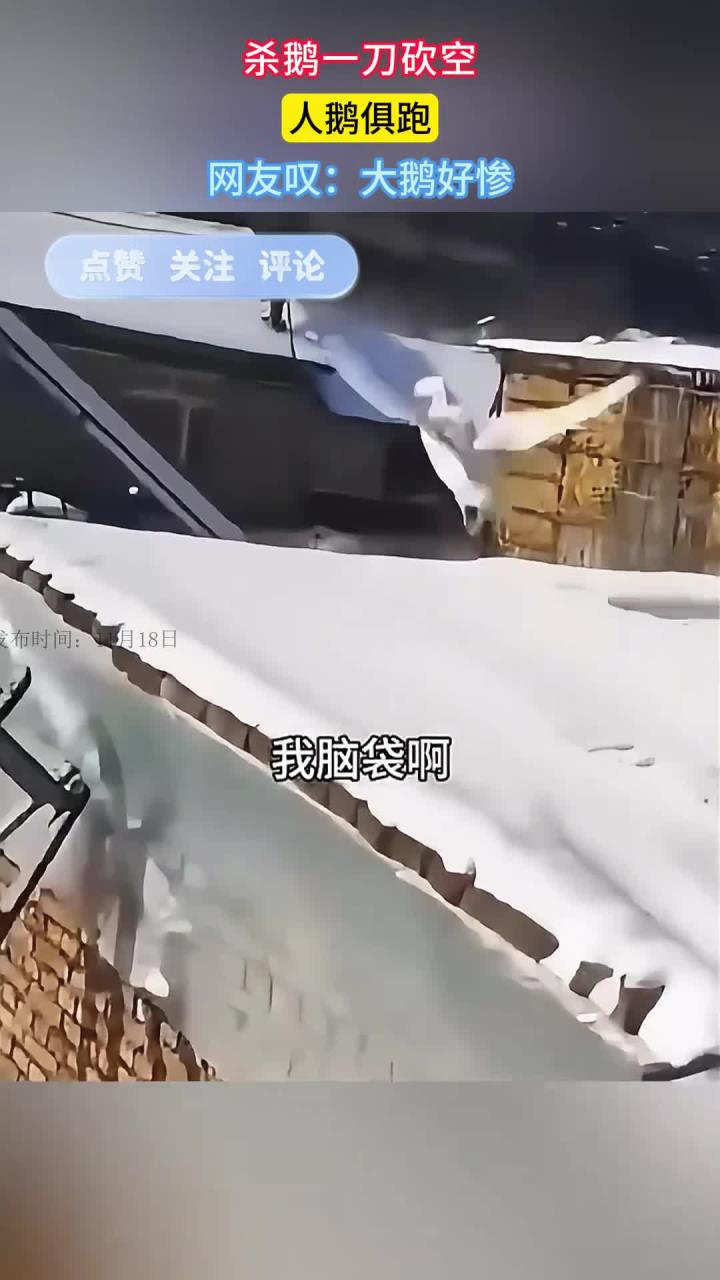 女子杀大鹅一刀砍下去,结果一人一鹅都被吓跑了