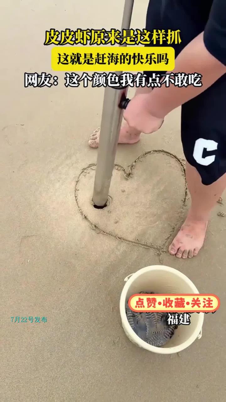 皮皮虾原来是这样抓,这就是赶海的快乐吗,网友:这颜色我不敢吃