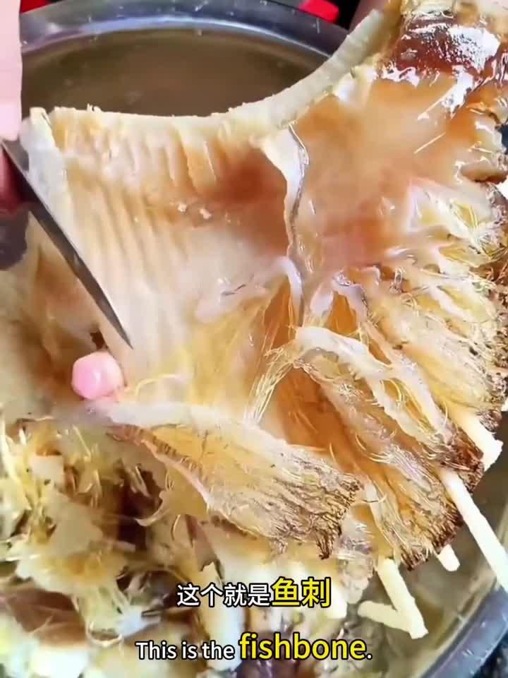 这种新鲜的鱼翅我还是第一次见啊