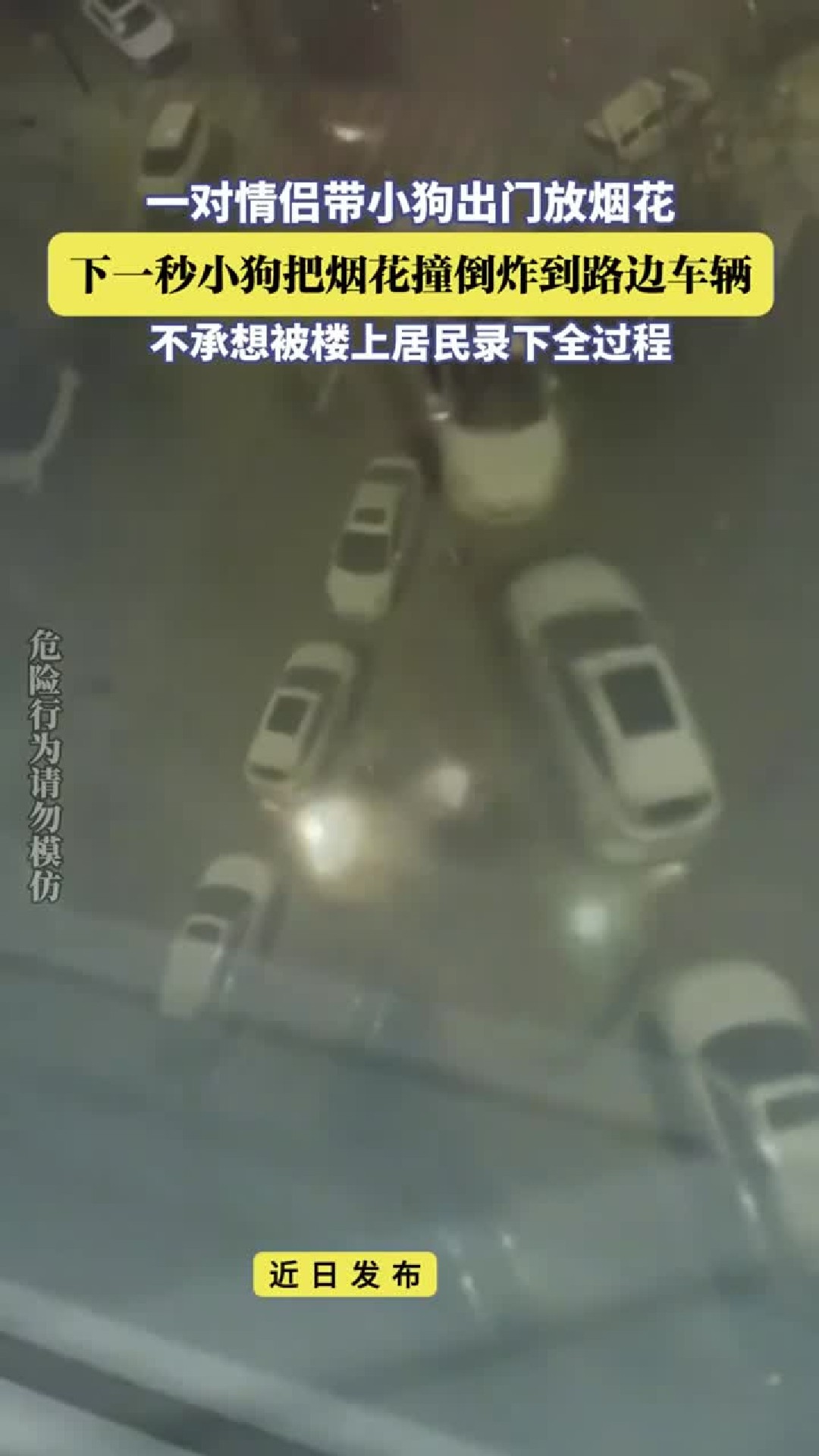 一对情侣带小狗出门放烟花，下一秒小狗把烟花撞倒炸到路边车辆，