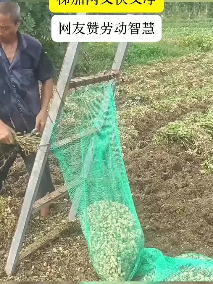 男子自制摘花生神器
