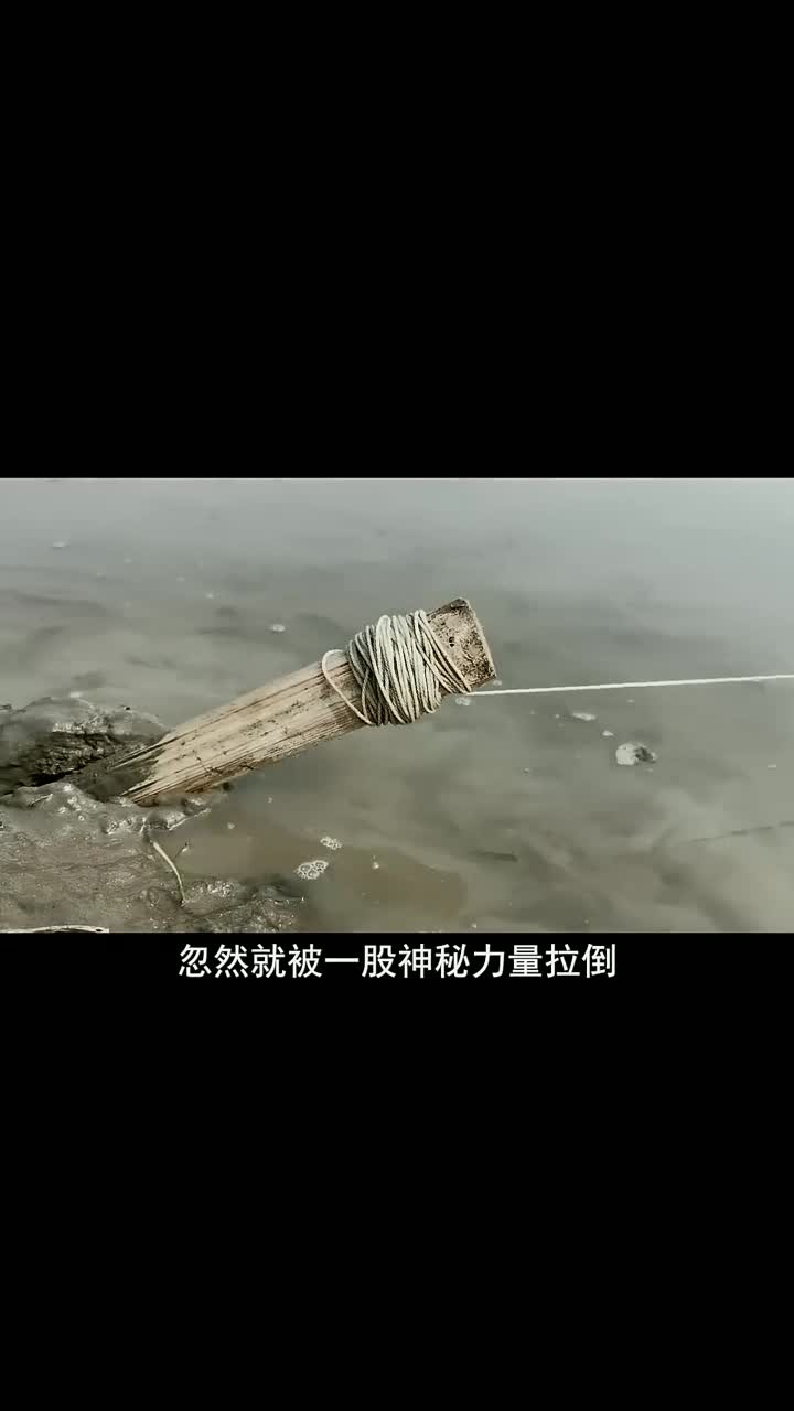 还没上学小男孩在河边用木棍设置捕鱼陷阱赚学费,结果收获满满!