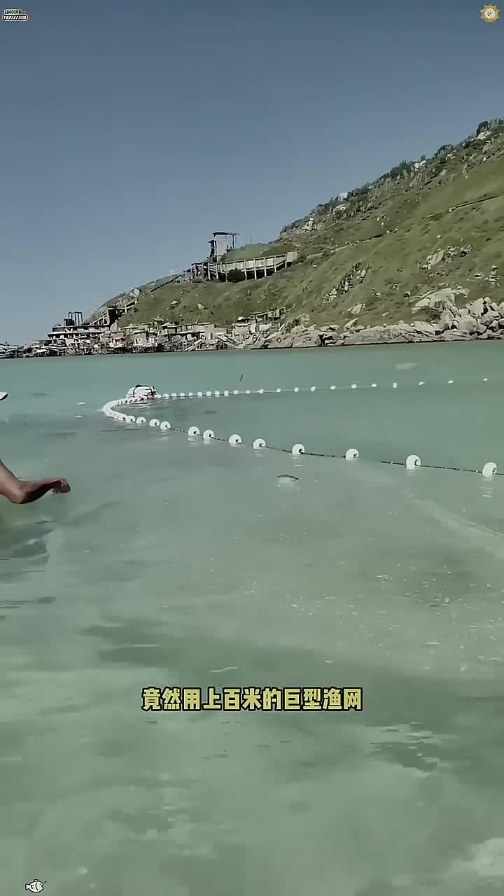 渔民在近海拉网捕鱼,这一网收获爆满!