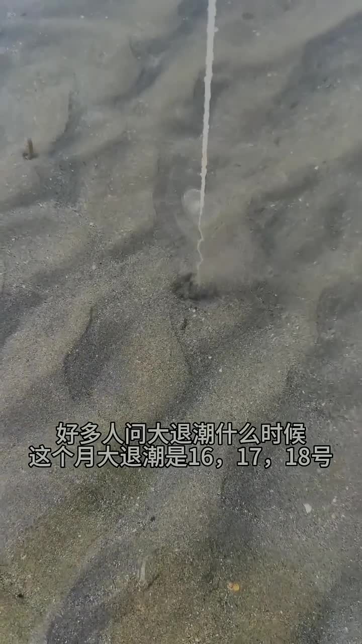 沙扒湾正经赶海 沙扒湾正经赶海抓抓皮皮虾,螺,螃蟹还是比较简单的