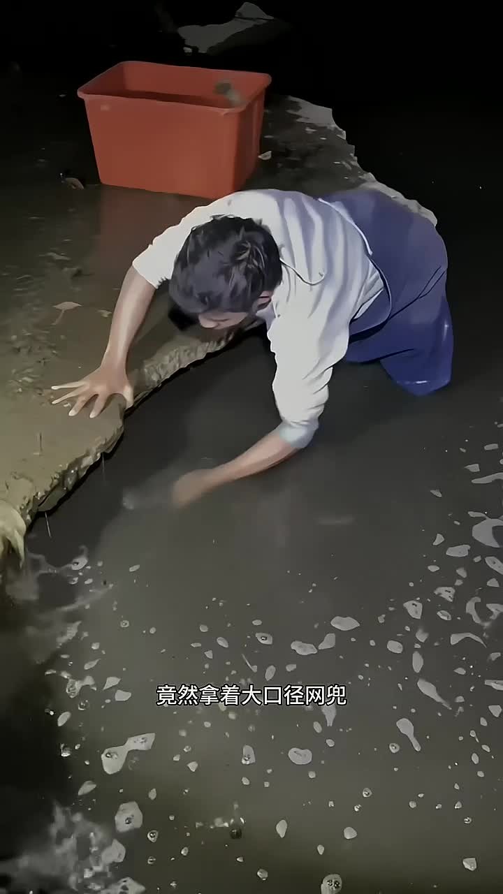 不可思议 川西大晚上跑到臭水沟中竟然捕获一筐大罗非鱼!